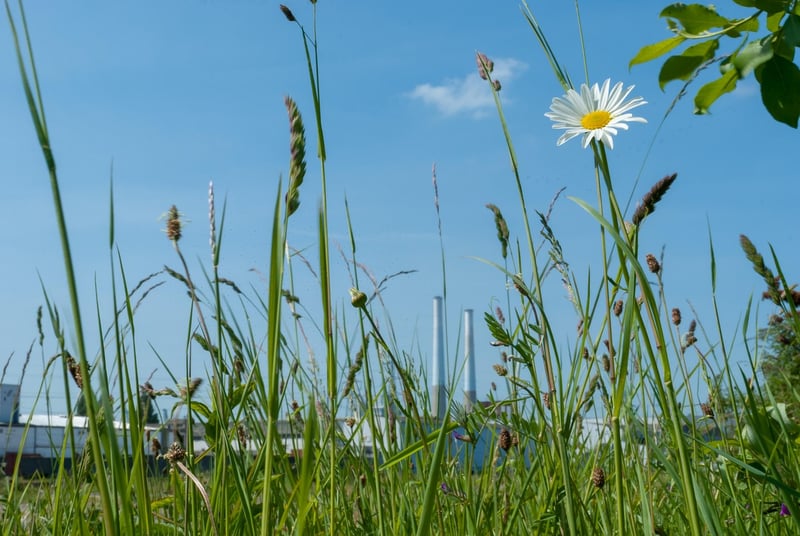 Magical Aquatic Havens